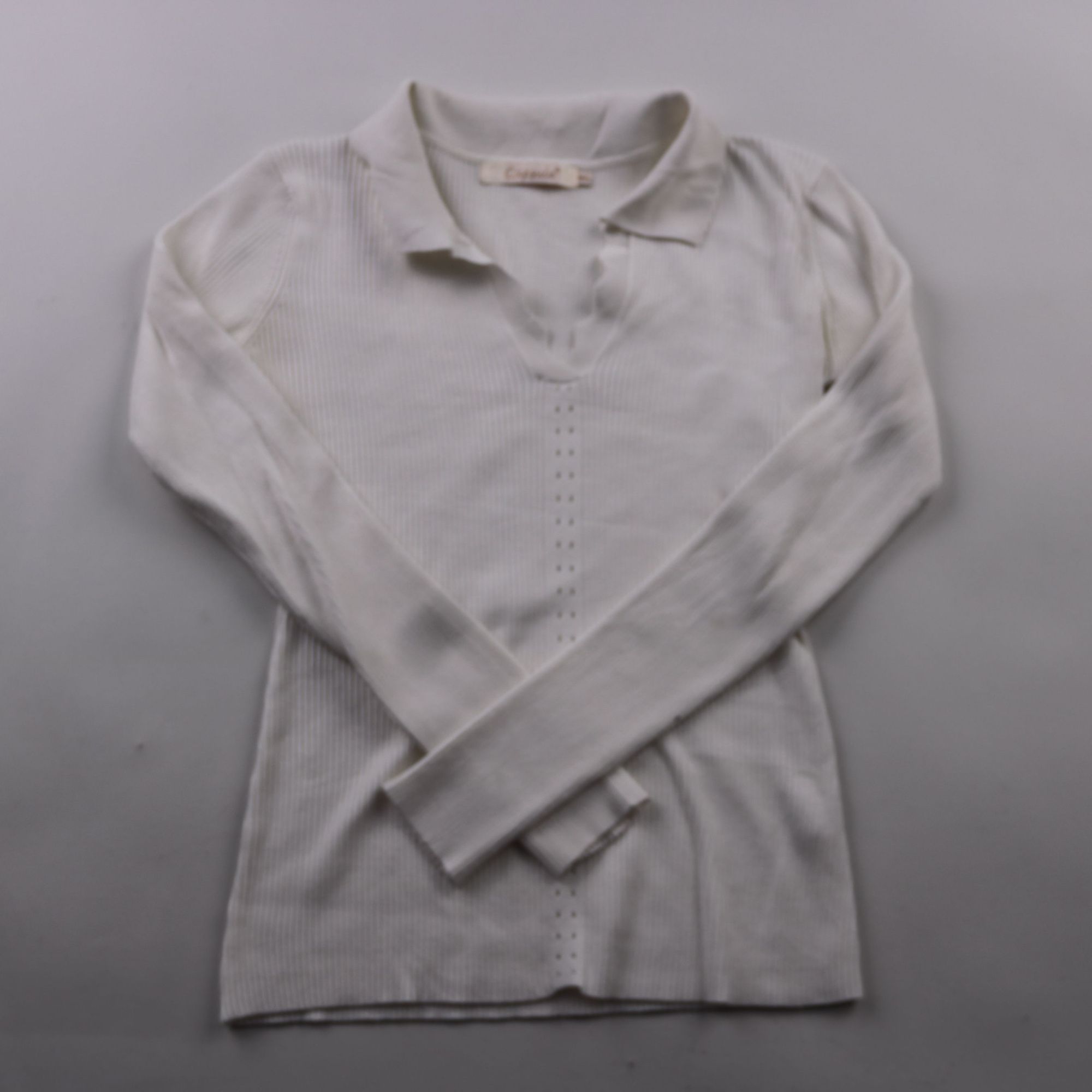 лонгслив Capsule